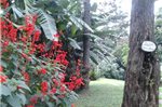 Chacara do Alemao - Recanto Jardim Silvestre