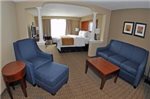 Comfort Inn & Suites Colonial