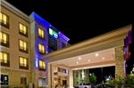 Holiday Inn Express Hotel & Suites Allen North-Event Center