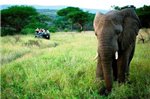 Thula Thula Exclusive Private Game Reserve & Lodge