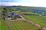 Waybourne- Vineyard and Winery