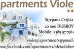 Apartment Violeta 2