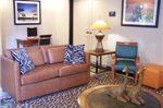 Baymont Inn & Suites Tampa Near Busch Gardens