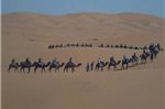 Camel Trekking Sahara Tour