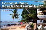 Coconut Palm Guesthouse