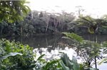 Colo-I-Suva Rainforest Eco Resort