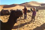 Desert Camel Camp
