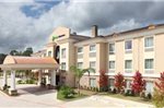 Holiday Inn Express Hotel & Suites Henderson - Traffic Star