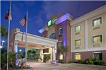 Holiday Inn Express Hotel and Suites Houston Medical Center