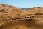 Morocco Camel Trek