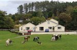 Muckross Riding Stables