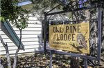 Owl Pine Cabin 1551
