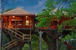 Rangerwood Machan Jungle Tree House