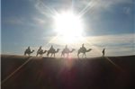 Sahara Camels Camp