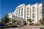 SpringHill Suites by Marriott - Tampa Brandon